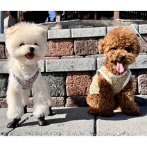 강아지옷 몸빼 나시 레트로 촌캉스룩 꽃무늬 메리야스, 블루