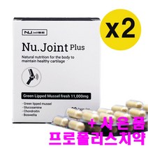 뉴와이즈 조인트플러스 뉴질랜드 초록홍합 초록입홍합+글루코사민+콘드로이친 90캡슐, 2개