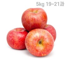고당도 껍질째먹는사과 햇사과 부사사과 5kg 1921과