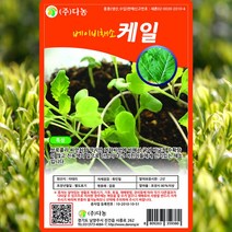 베이비케일 씨앗 베이비케일 씨 종자 10g, 1개
