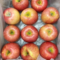 실속형 흠집 뉴질랜드품종 엔비사과 (사이즈랜덤), 1box, 3kg내외