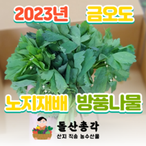 여수 금오도에서 키운 노지 방풍나물 500g