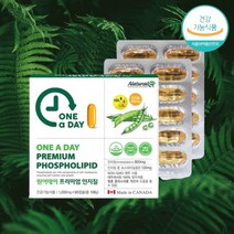 네추럴라이즈 원어데이 프리미엄 인지질 3개월분, 1개, 90정