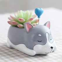 ROOGO 루고 화분 잠자는 강아지 허스키