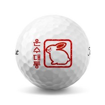 41 2023년 계묘년 토끼띠 골프공 로고 인쇄 소량 제작 (6구), 브리지스톤 투어 B XS 6구 화이트, C