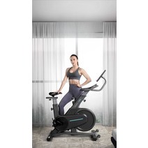 실내자전거 홈트 홈트레이닝 바이크 무소음 유산소, 자기 제어 저항 + 일체형 플라이휠