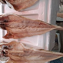 동울산수산 명태 반건조 냉동 대 3마리 45~50 cm, 토막낸것