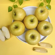 시나노골드 문경 청송사과 노란 황금 사과 못난이 가정용 소꼬마과 2kg