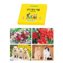 치매예방 인지향상퍼즐 변별력 향상편/새샘