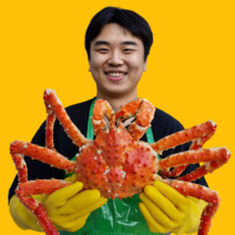 [수율보장] 명품 레드 킹크랩 1마리 포항 구룡포 영덕 울진, 킹크랩 2.5kg, 1개