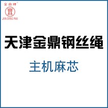 와이어 엘리베이터 전용 MM 천진 금정패 마심 예인함 속도 제한이다 2635003150, 13mm, 연그레이