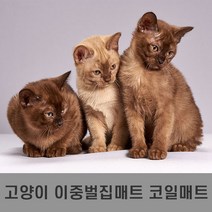 예스카 고양이사막화방지 코일매트 이중벌집매트 모래매트 고양이매트 화장실