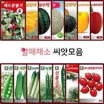 열매 채소 씨앗 모음 토마토 방울토마토 고추 양파 옥수수 오이 호박 씨 채소재배, 31.호랑이강낭콩(넝쿨성) 30g