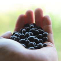 소화농장 2022년 햇잡곡 1kg 서리태 율무 찰수수 팥 강낭콩, 강낭콩kg, 1개