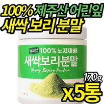 100% 노지재배 새싹보리 청정 제주 어린잎 세싹 보리분말 에어제트밀 분쇄 금속 이물 없는 국산 고농축새싹보리분말 가루 쥬스 물, 170g X 5통, 5개