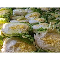 오늘애푸드 김장시즌 국내산 강원도 / 해남 절임배추20kg, 11월10일(금)도착