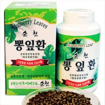 순천잠실영농조합법인 국내산 뽕잎환 500g