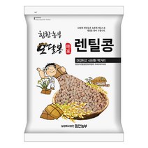 힘찬농부오달봉 수입산 렌틸콩 브라운렌틸콩 렌즈콩, 1포, 2kg