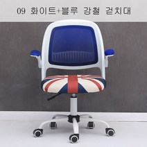 뉴타임즈17 학생의자 사무용의자 개성컴퓨터의자자가현대게임사무의자등락 학생글씨의자책상의자 XT22 A22, 09 화이트+블루 강철 걷치대