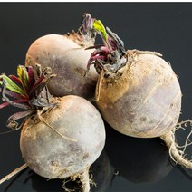 국내산 레드 알 비트 레드비트 3KG 5KG 10KG, 1박스