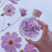 리비트 꽃길무드등, 퍼플(오늘도 수고했어 / 꽃길만 걷자)