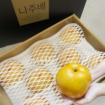 나주배 산지직송 햇배 고당도 꿀배, 1개, 7.5kg, 나주배 특품(중)