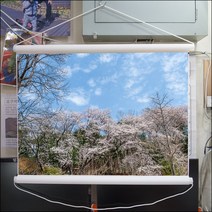 A685-0/풍경사진/족자/풍경화/벚꽃사진/대형사진