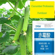 오이 직업 비료 수 세미 Momordica 조롱박 Cantaloupe 정원 식물 음식 성장 작물 농장 사용을 촉진, 한개옵션0
