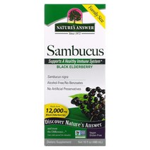 네이처스 앤서 삼부커스 블랙 엘더베리 12000 mg 480ml, 16 액상 온스