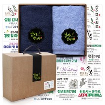 송월타올 40수 항균타올 코마사 180g x 2p 추석 수건선물세트 돌 환갑 칠순 팔순 회사 교회 어린이집 유치원 학교 기업 행사 조문 개업 결혼 호텔 답례품, A세트 (네이비+스카이)