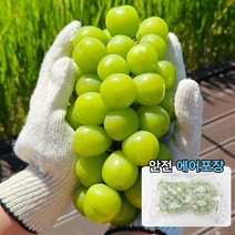 당도보장 고당도 샤인머스켓 씨없는 포도 망고포도 백화점 샤인머스캣 청포도 햇포도, 고당도 샤인머스켓 500g 1송이, 1개