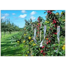 새줄 홀로그램 새줄 방조테이프 반사테이프 농작물 조류퇴치 허수아비 디지털 농작물지킴이, 폭 50mm * 길이45M