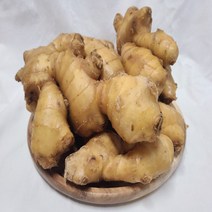 가정용 세척 수입생강 중국산생강 1kg 5kg