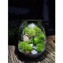 비바리움 테라리움 이끼 분재 마이크로 조경 유리병 수제 에코 병 DIY, 단일사이즈, 병 플러스 램프(가로 없음)
