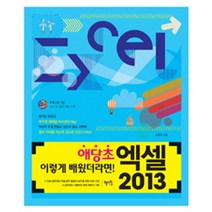 엑셀 2013:애당초 이렇게 배웠더라면, 혜지원