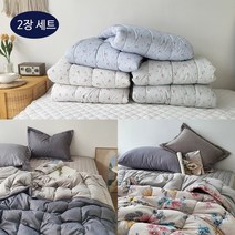 룸마이룸 겨울 극세사 차렵이불 9종 2장세트 / 겨울 싱글이불 1+1
