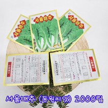 (샤인 몰) 서울배추 씨앗 2000립 1개 무료배송/재래종 배추로 맛이좋고 엇갈이용으로 최적품종/주말농장
