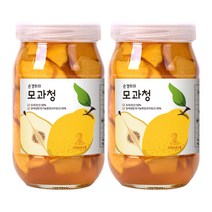 허밍테이블 수제 모과청 청도모과, 500g, 2개