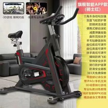 다이나믹 바이크 가정용 다이어트 실내자전거 헬스장 전용 운동기구 발 디딤 소형 무음, V10[레드]무저항/3D대전/운동데이터/피티클래스APP, V10[기질빨강]무극저항/3D대전/운동데이터/피티클래스