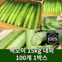 당일경매 백오이 백다다기 오이지 15kg 1박스 (100개)