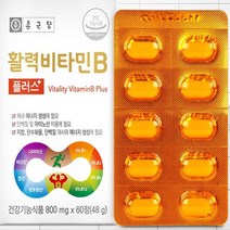종근당 활력 비타민B 군 수용성 비타민비 컴플렉스 고농축 고함량 영양제, 01 종근당 활력 비타민B 플러스 60정