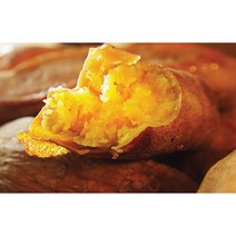 해남 꿀고구마 베니하루카 고구마 에어프라이어 고구마 군고구마 10Kg, 베니하루카 10Kg(중)/50~100g내외