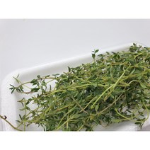 [특급] 타임 100g 500g 허브 생잎, 타임100g