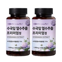 웰핏 수국잎 열수 추출물 프리미엄정 1000mg X 60정, 2개