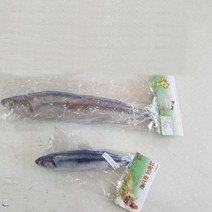 고양이 장난감 꽁치(20cm), 10개