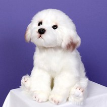 맥스토어 위더펫 강아지 고양이 호랑이 애착 동물 캐릭터 인형, 04.위더펫-말티즈