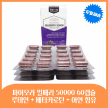 프리미엄 빌베리+루테인 분말 캡슐 시중 가장높은 고함량 50000mg 눈 영양제, 빌베리 2개(-15000원 할인), 60캡슐