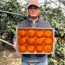 [제주농부직접보냄]22년12월수확 품질보장 제주 제철 귤 레드향 선물용 가정용, 2kg