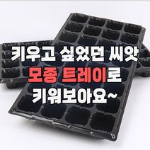 모종판 트레이 씨앗 32구 72구 105구 128구 포트 발아, 32개