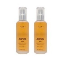 엘리샤코이 콤부차 결바이옴 미스트 100ml 2개